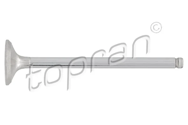 Exhaust Valve