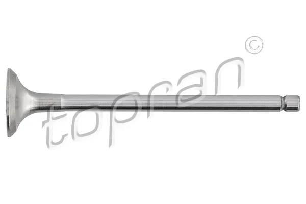 Exhaust Valve