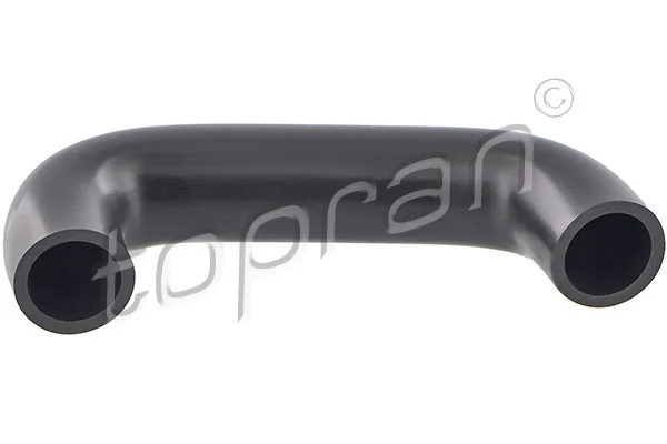 Hose, cylinder head cover ventilation