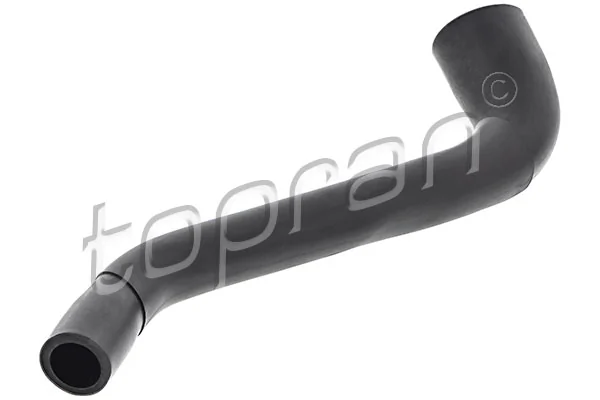 Hose, cylinder head cover ventilation