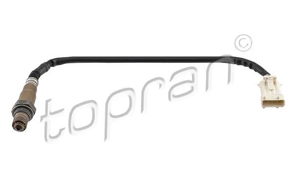 Oxygen Sensor