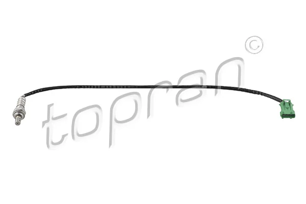 Oxygen Sensor