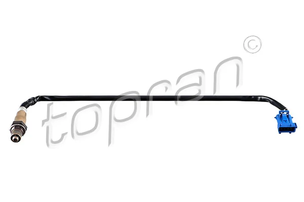 Oxygen Sensor