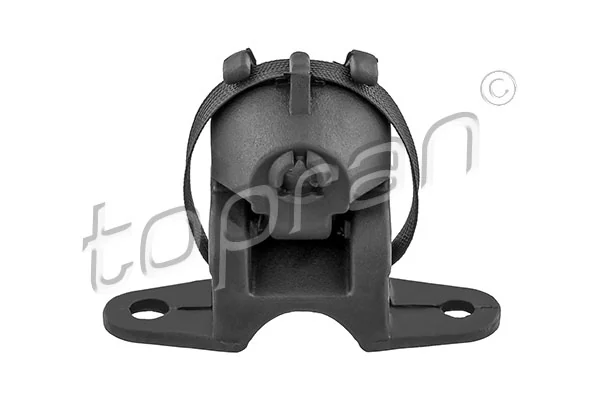 Mount, exhaust system