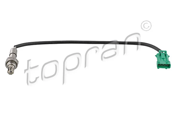 Oxygen Sensor