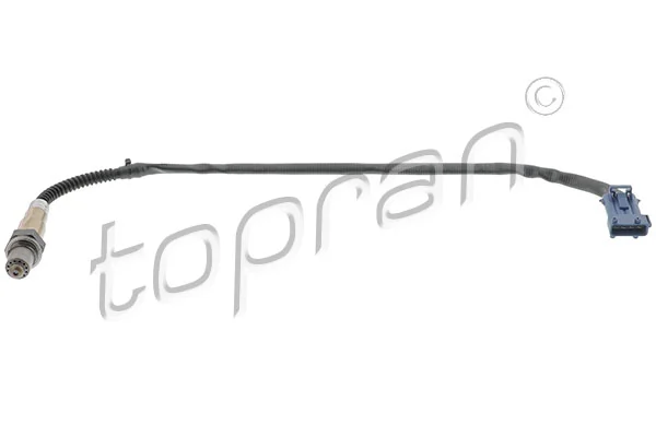 Oxygen Sensor