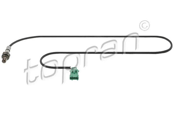 Oxygen Sensor