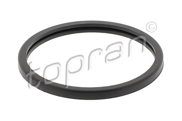 Seal, thermostat