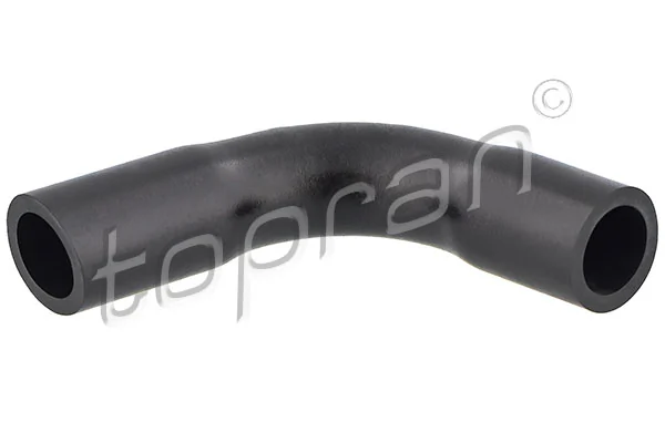 Hose, cylinder head cover ventilation