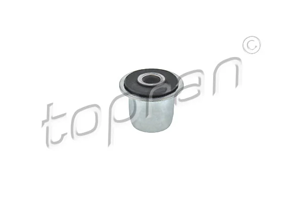 Bushing, leaf spring