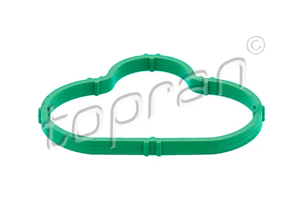 Gasket, intake manifold