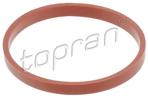 Gasket, intake manifold