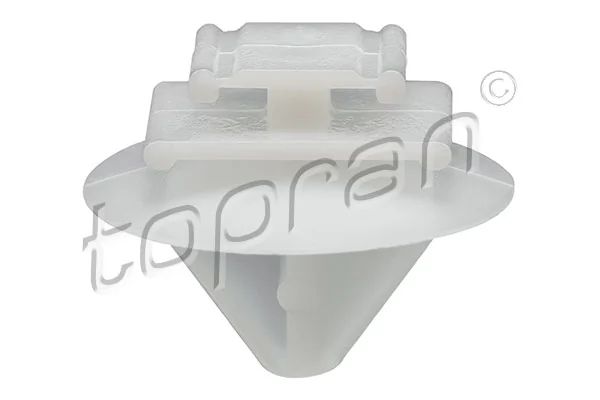 Clip, trim/protection strip