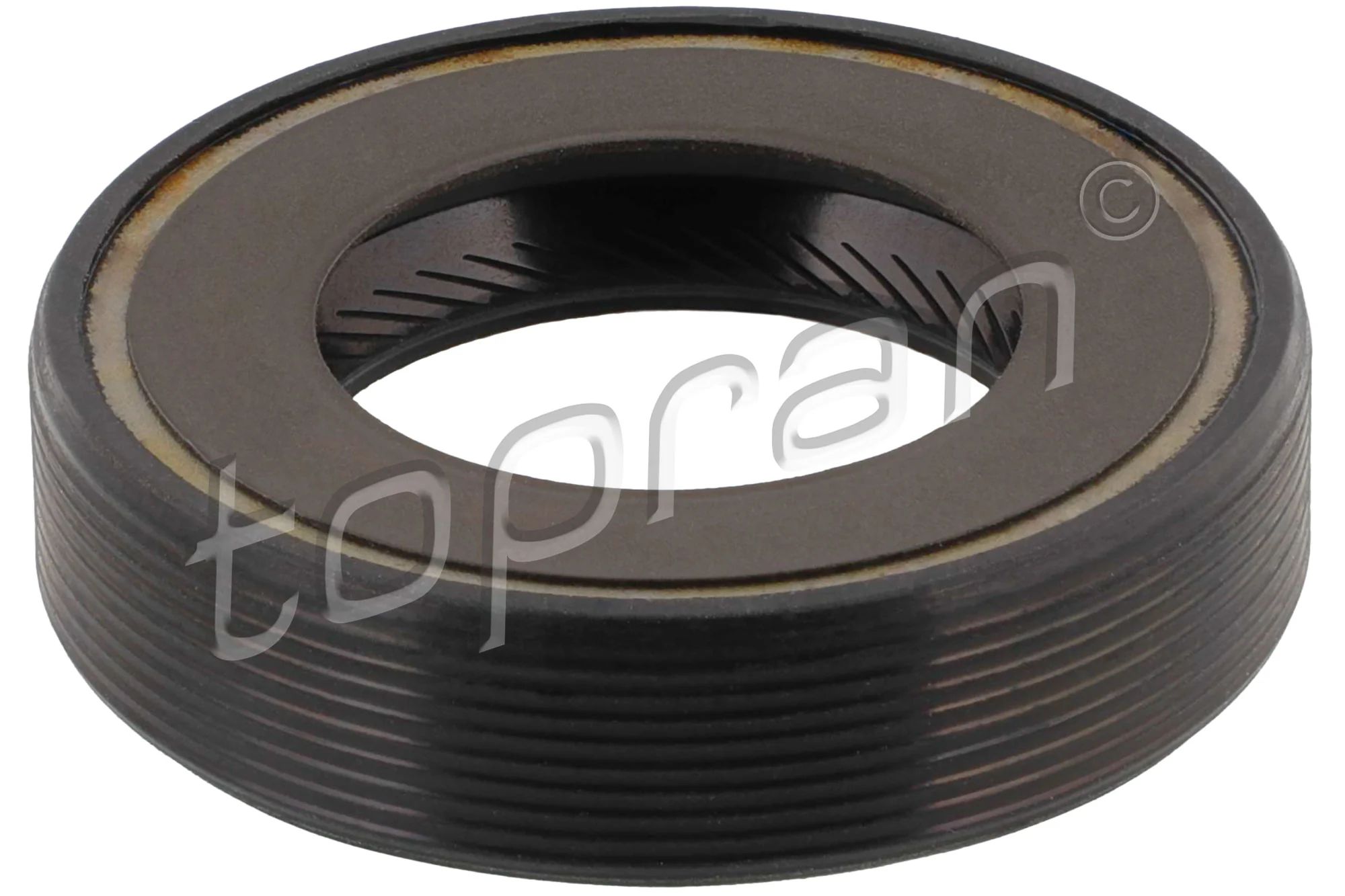 Shaft Seal, differential