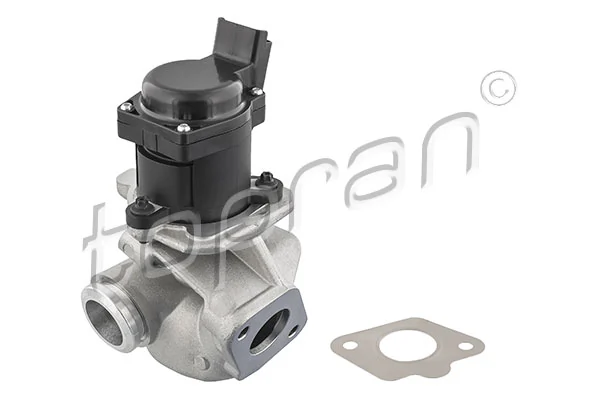 EGR Valve