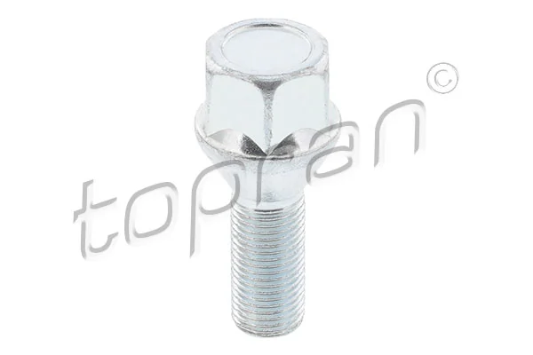 Wheel Bolt