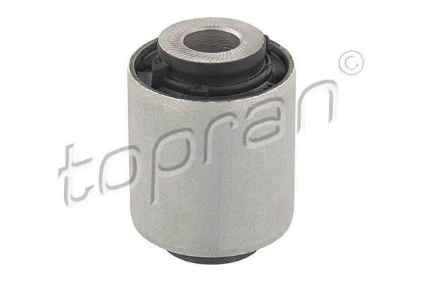 Mounting, control/trailing arm