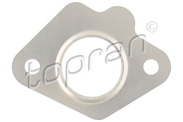 Gasket, EGR valve