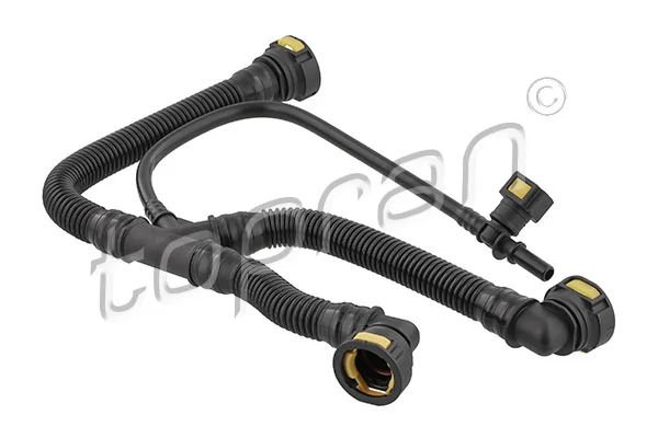 Hose, crankcase ventilation