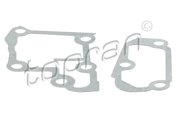 Gasket, thermostat housing