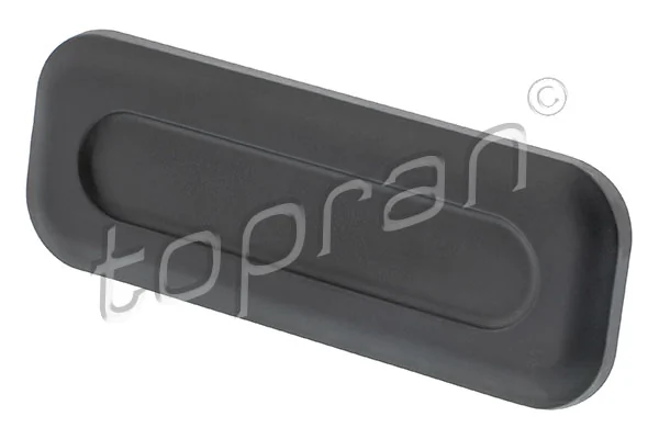 Tailgate Handle