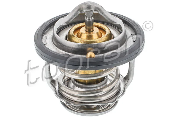 Thermostat, coolant
