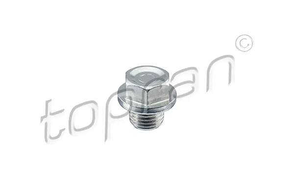 Screw Plug, oil sump