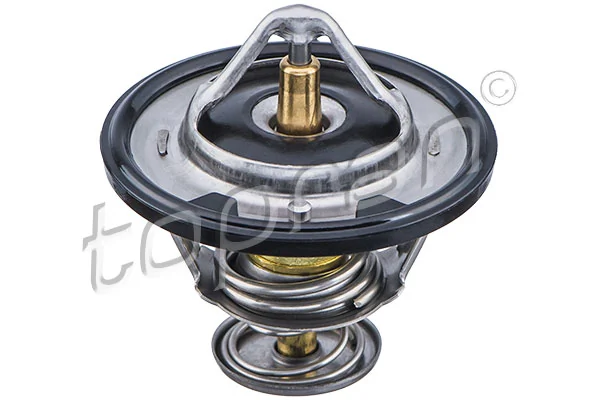 Thermostat, coolant