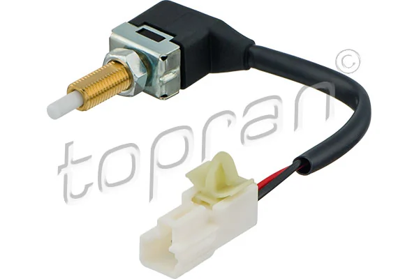Switch, clutch control (cruise control)