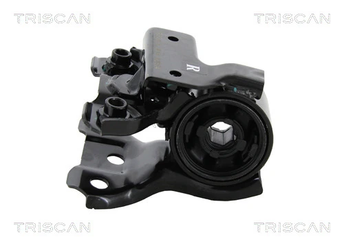 Mounting, control/trailing arm