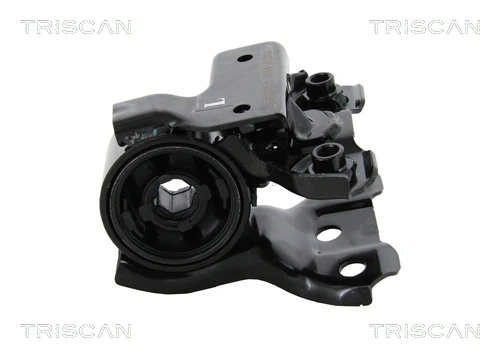 Mounting, control/trailing arm