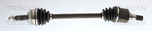 Drive Shaft