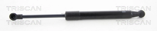 Gas Spring, boot/cargo area