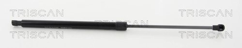 Gas Spring, boot/cargo area
