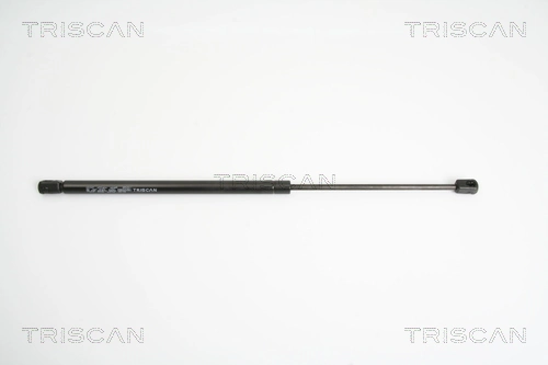 Gas Spring, boot/cargo area