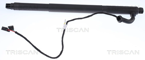 Gas Spring, boot/cargo area