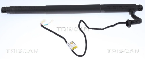 Gas Spring, boot/cargo area