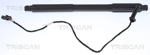 Gas Spring, boot/cargo area