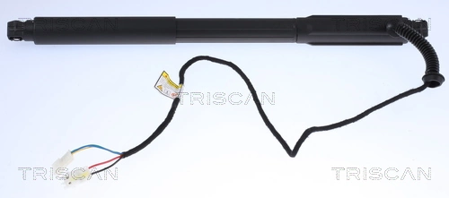 Gas Spring, boot/cargo area