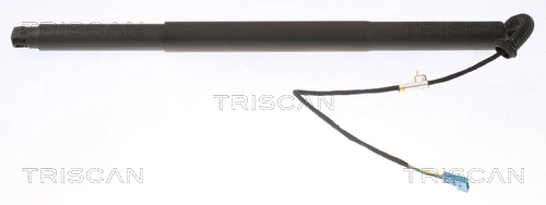 Gas Spring, boot/cargo area