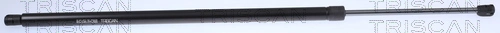 Gas Spring, boot/cargo area
