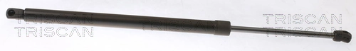 Gas Spring, boot/cargo area