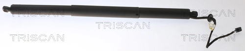 Gas Spring, boot/cargo area