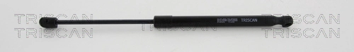 Gas Spring, boot/cargo area