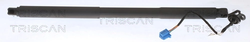 Gas Spring, boot/cargo area
