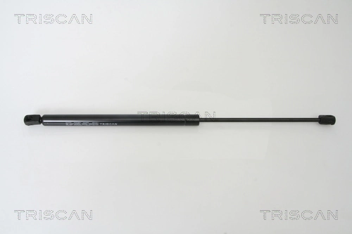 Gas Spring, boot/cargo area