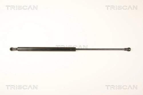 Gas Spring, boot/cargo area