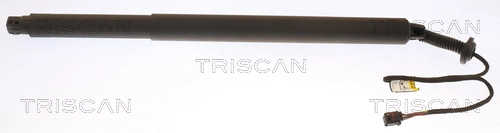 Gas Spring, boot/cargo area