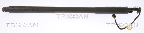 Gas Spring, boot/cargo area