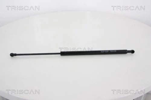 Gas Spring, boot/cargo area